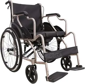 Toilet Wheelchair/Transporting Storage –24-Inch Rear Wheels