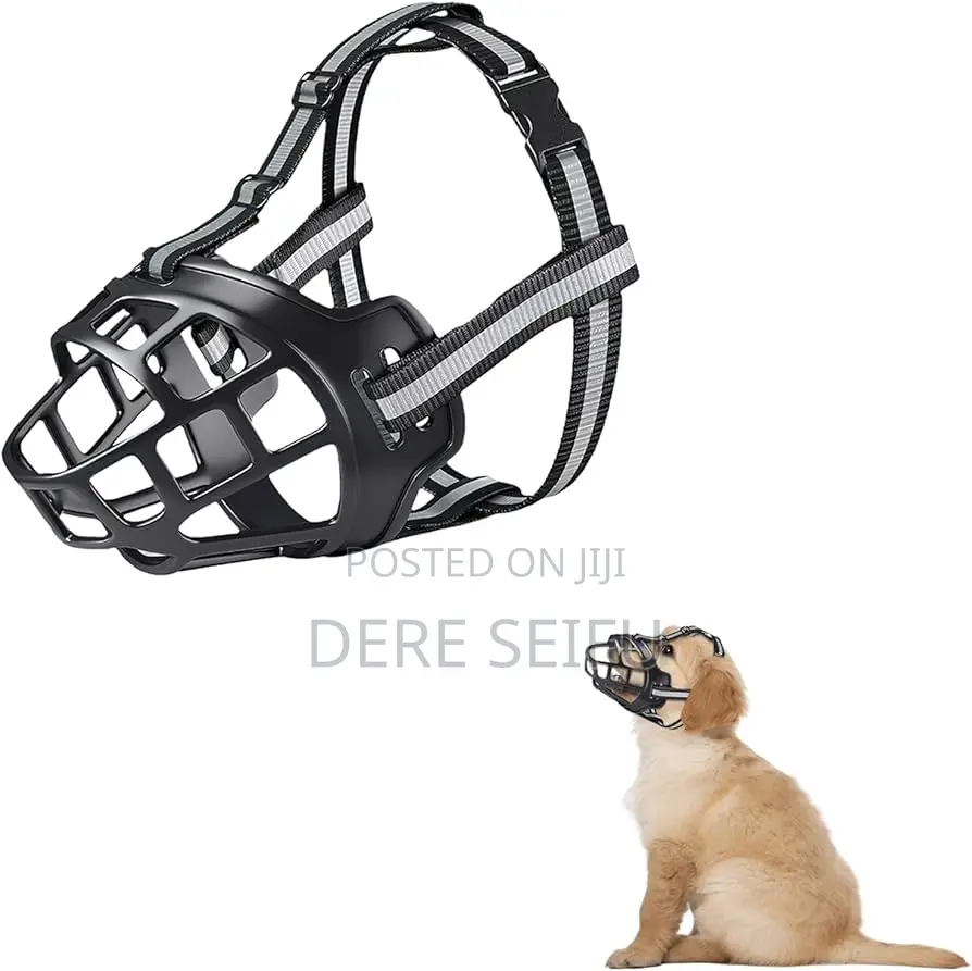 Dogs Muzzle