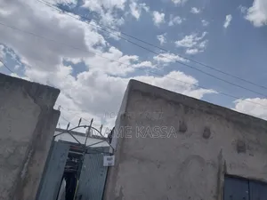 Tv With Tv Stand and House