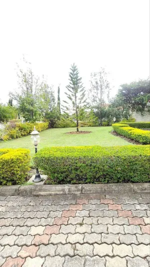 Furnished 6bdrm Duplex in ሲሲዲ, Yeka for sale