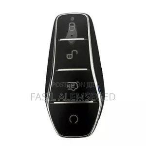 Photo - Byd Remote Fob