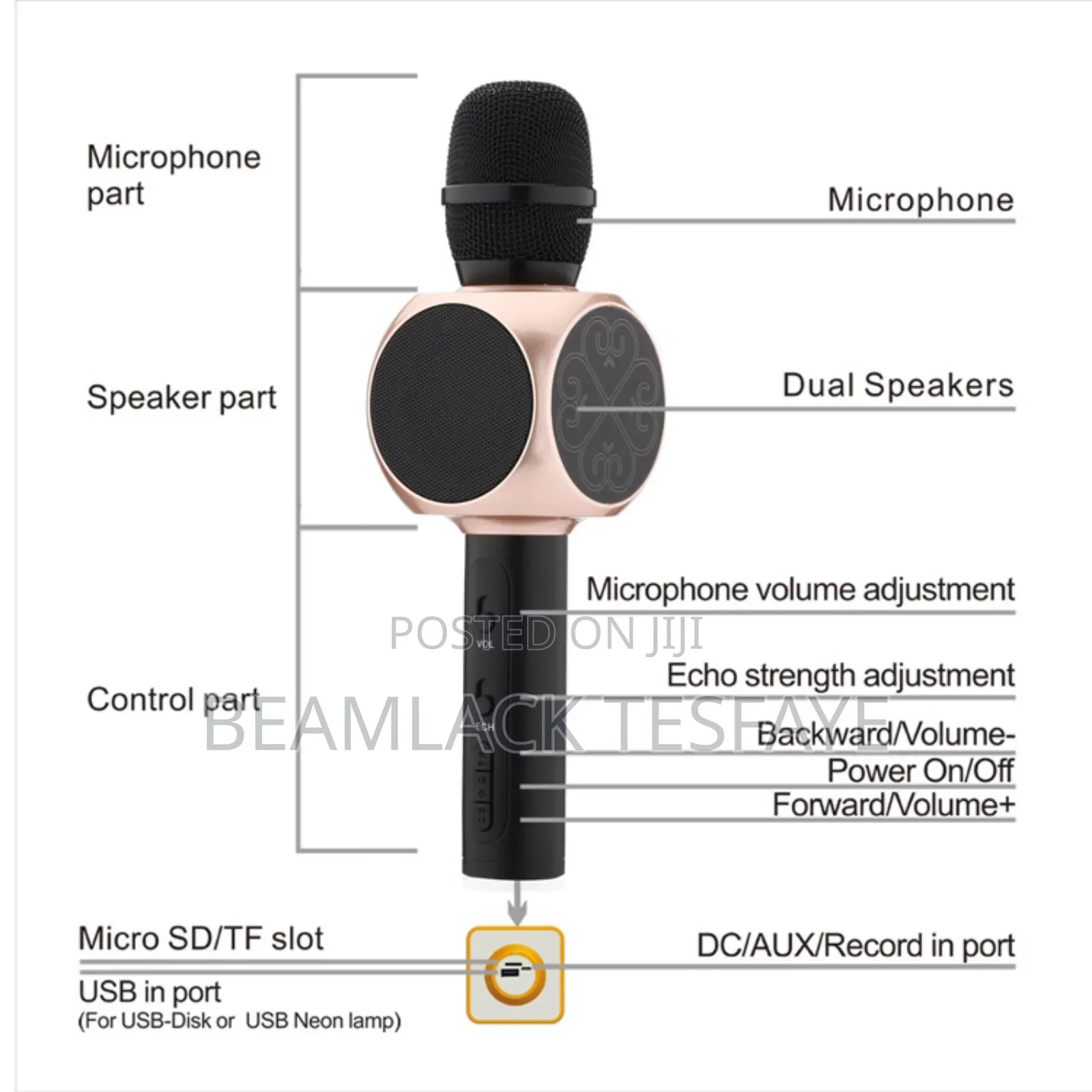 Smartberry M8 Karaoke Microphone