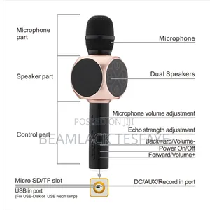 Smartberry M8 Karaoke Microphone
