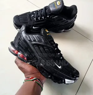 Nike Air Max Plus Black Master Quality Shoes