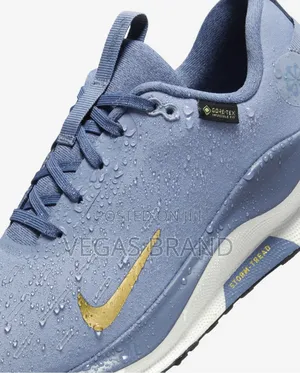 Nike Infinity Run Goretex Gray Master Quality Shoes