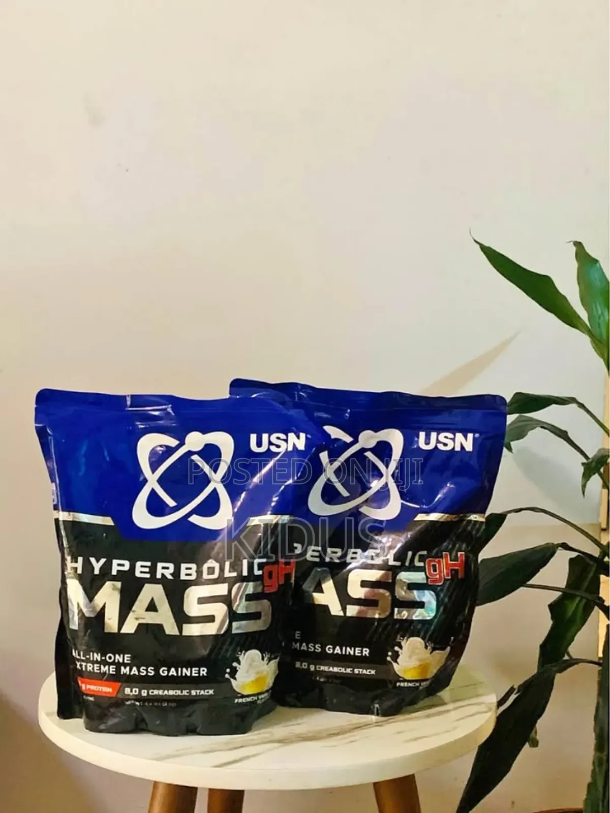 Protein Supplements