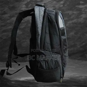 Silver White Swissgear Backpack