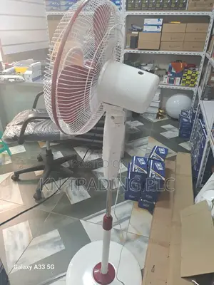 Stand Fan or Pedestal Fan