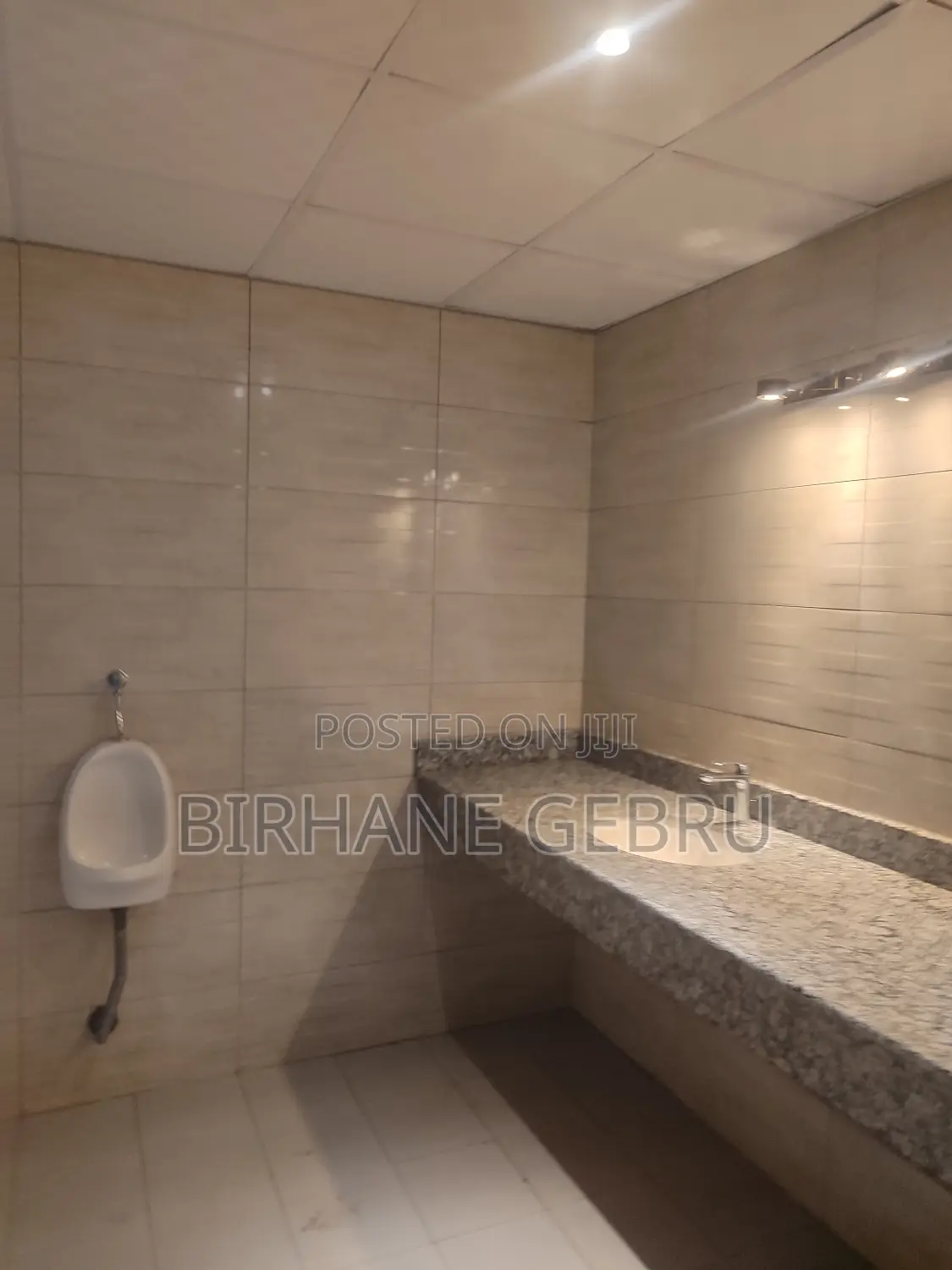Luxury Apartment Rent for Office