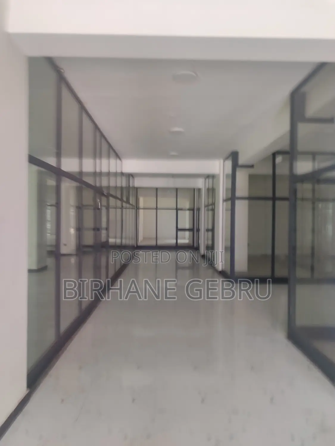 Luxury Apartment Rent for Office