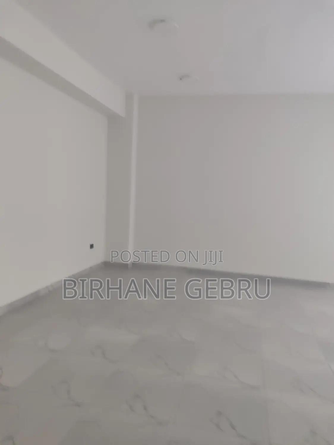 Luxury Apartiment Rent for Office