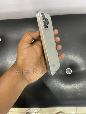 Apple iPhone 15 Pro Max 256 GB Silver