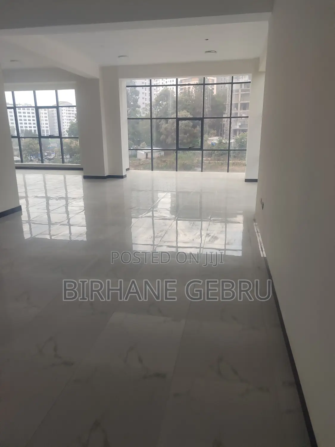 Luxury Apartiment Rent for Office