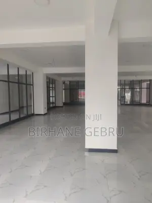 Luxury Apartiment Rent for Office