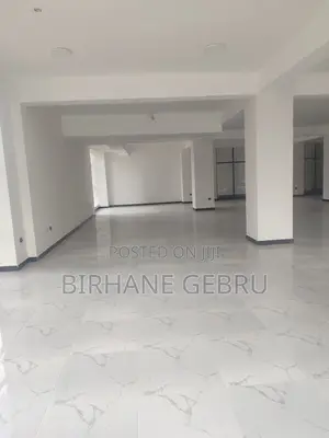 Luxury Apartiment Rent for Office