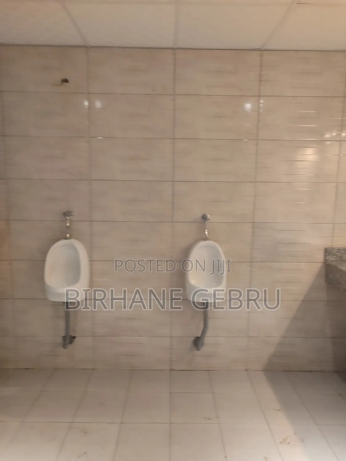 Luxury Apartiment Rent for Office