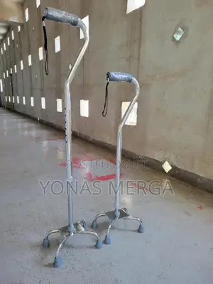 Photo - Walking Cane(Shaft Diameter)Cane walking Cane Buyer's Guide