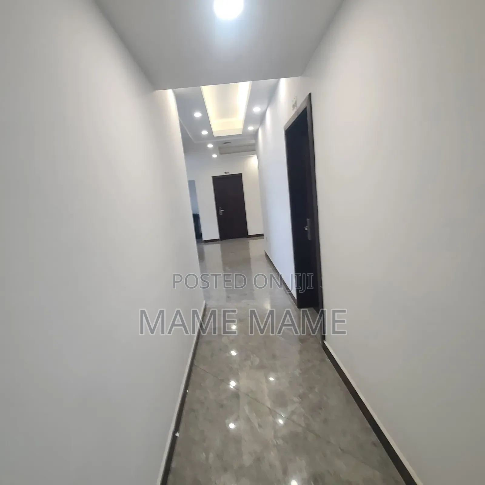 Furnished 1bdrm Apartment in Addis Abeba, Lideta for rent