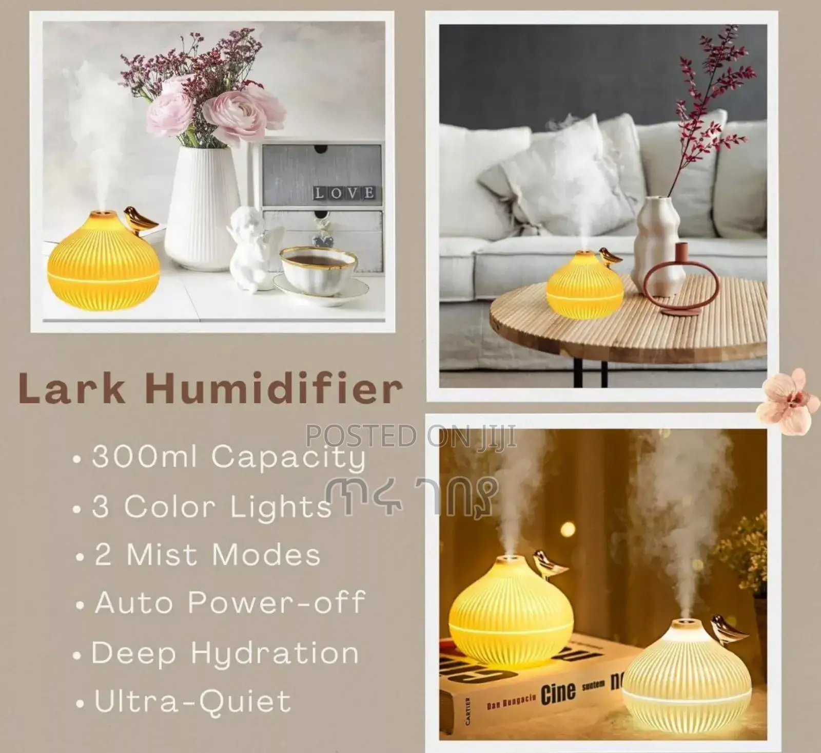 Onion Shape Humidifier