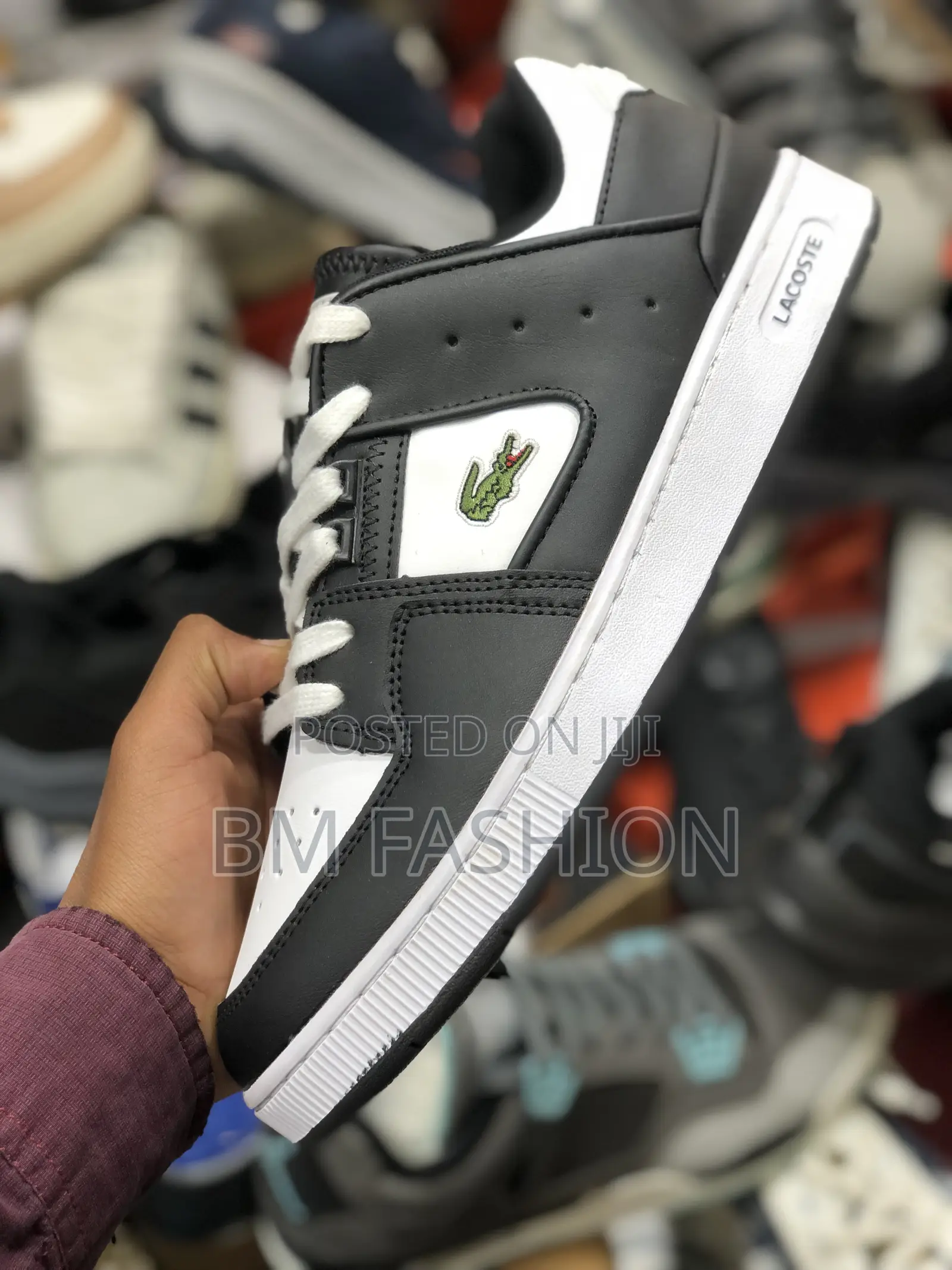 Lacoste Black and White