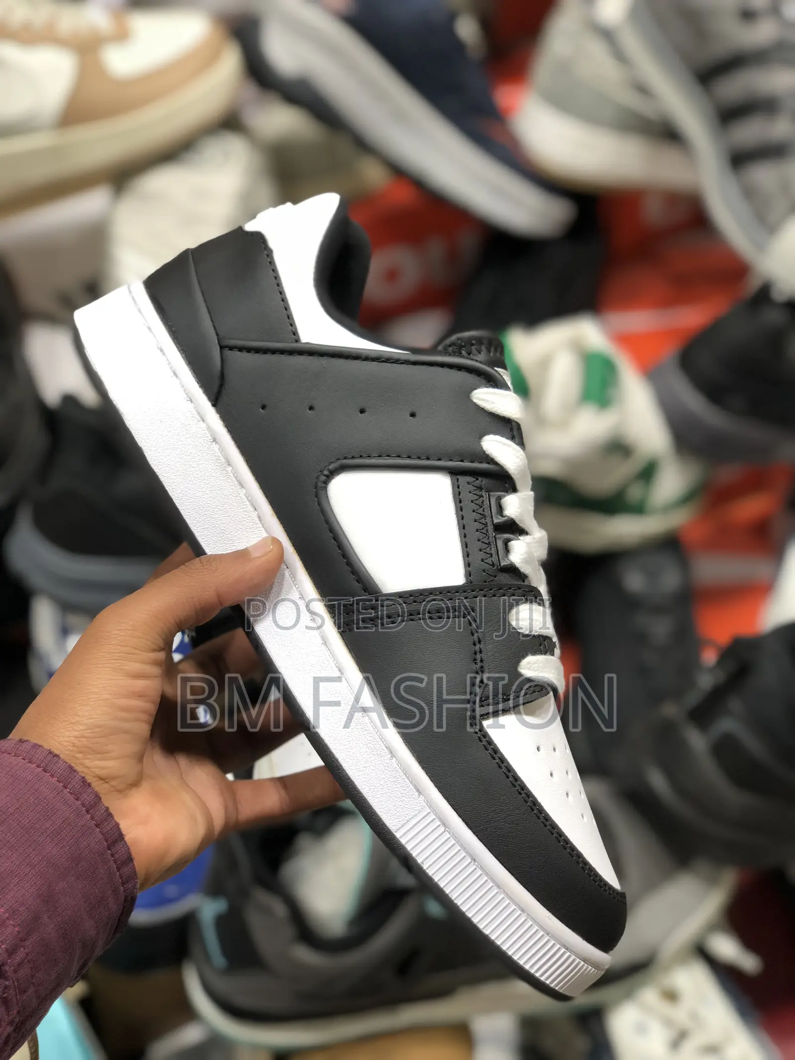 Lacoste Black and White