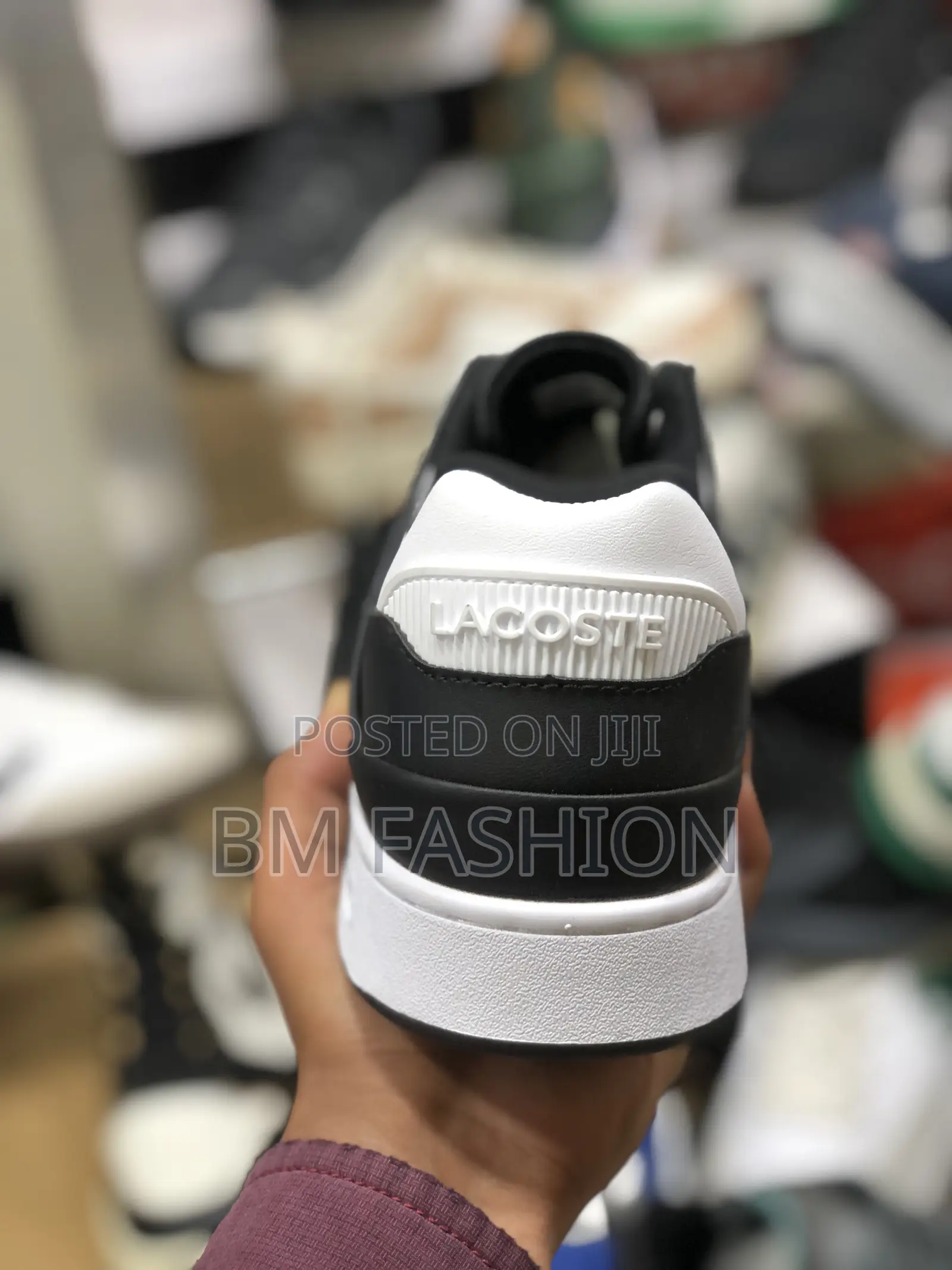 Lacoste Black and White