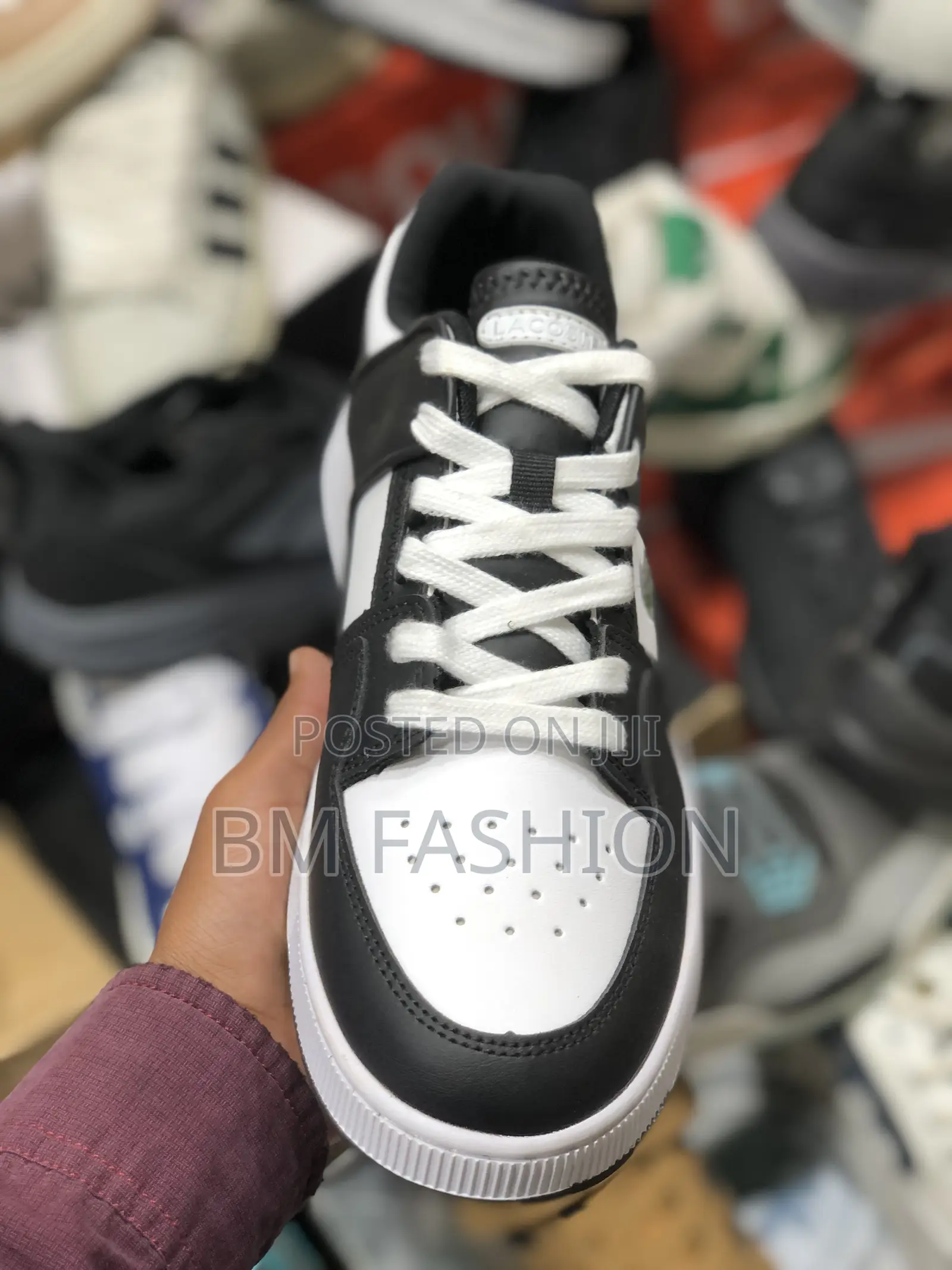 Lacoste Black and White