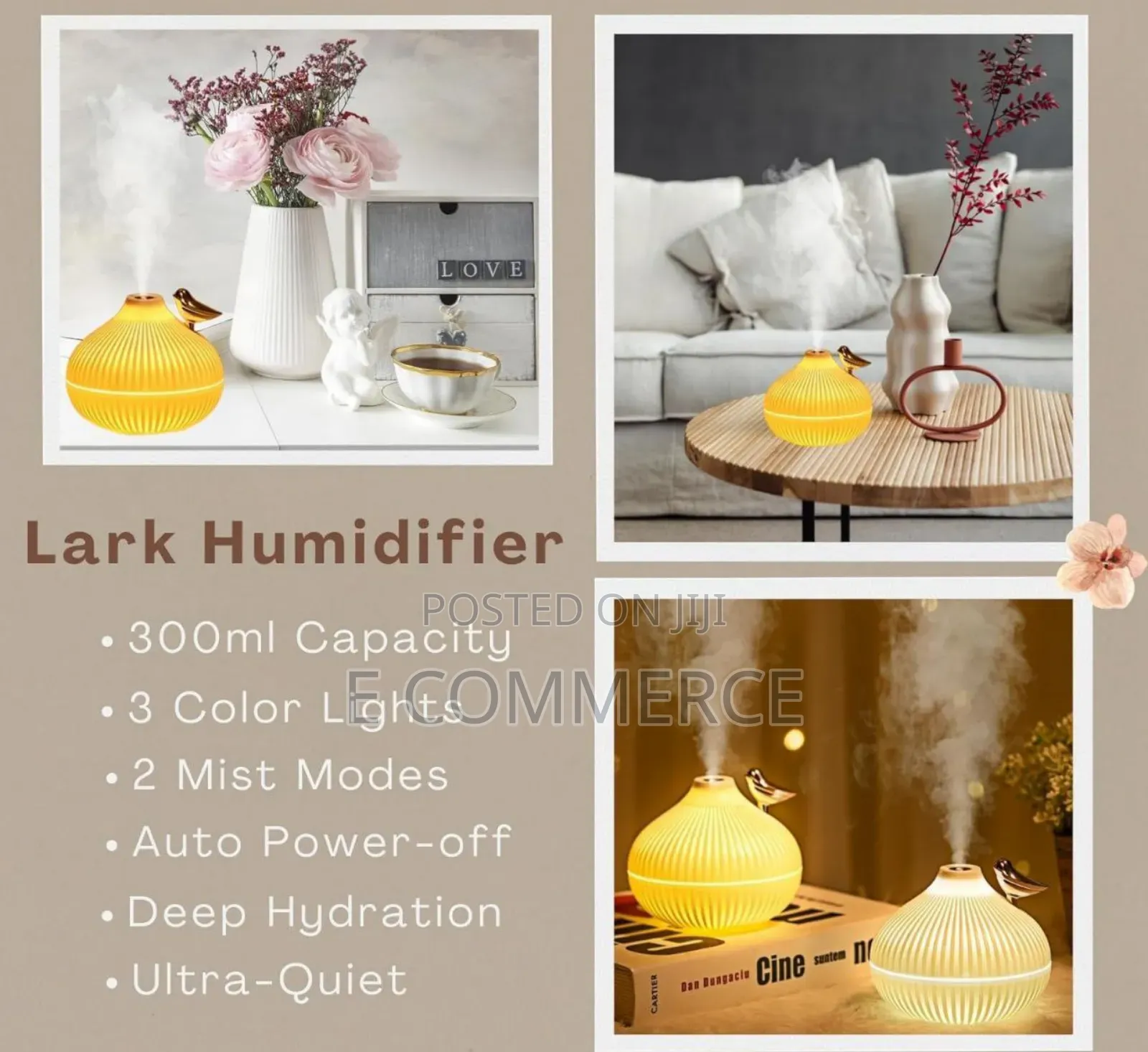 Onion Shape Humidifier