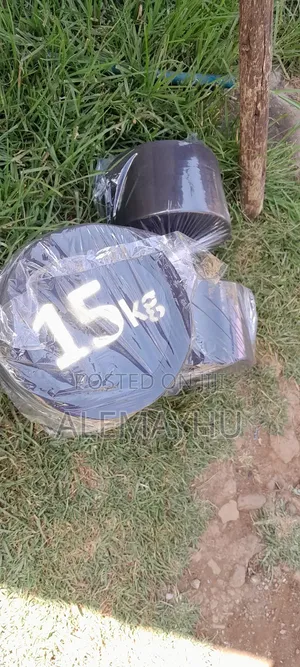 Photo - Dampell and Barbell