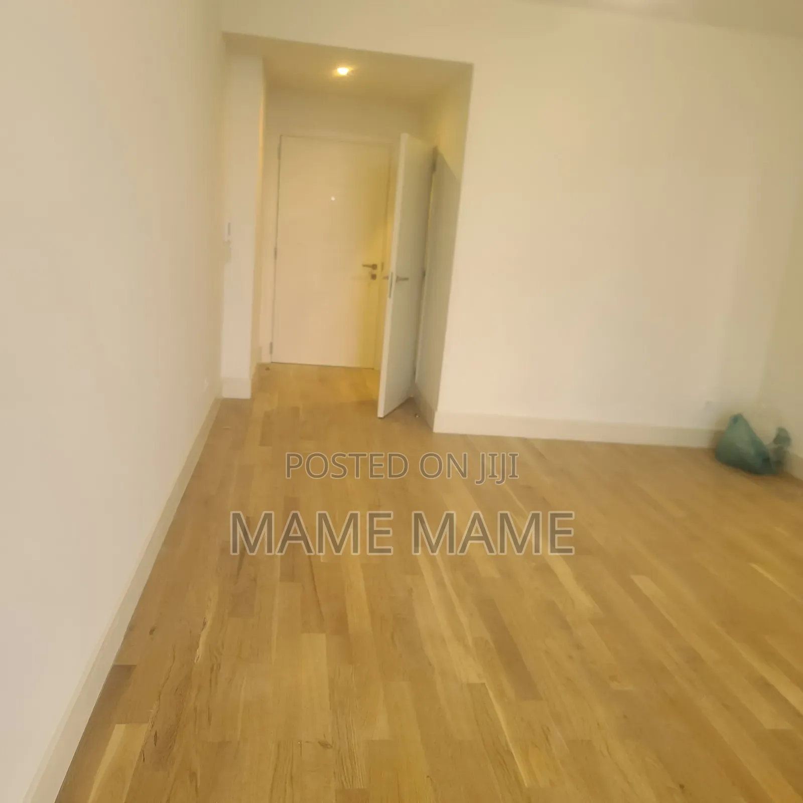 1bdrm Apartment in Addis Abeba, Lideta for rent