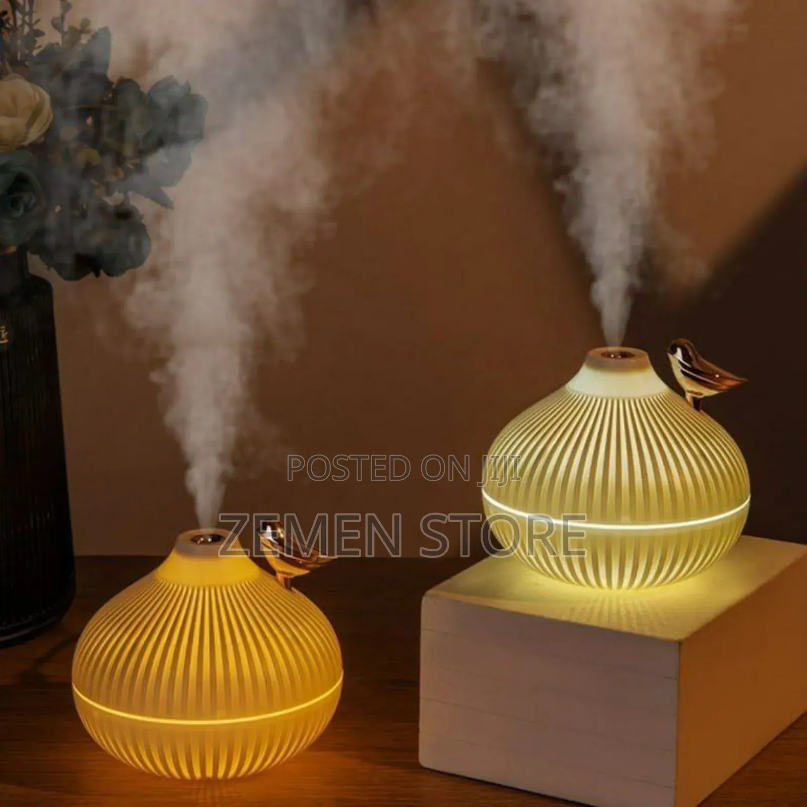 Onion Shaped Humidifier