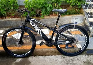 Photo - Orginal Cycle