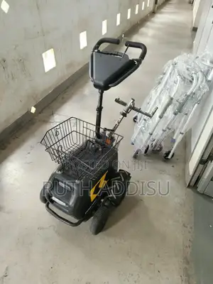 Swiss Trac in Addis Ababa Swiss Trac Electrical Wheelchair