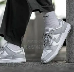 Photo - Nike Sb Dunk Low Grey