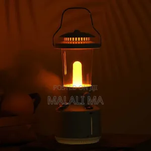Photo - Rechargeable Vintage Lamp Humidifier