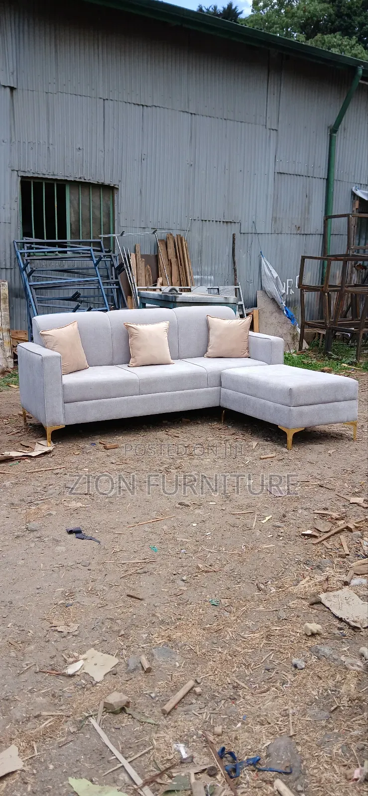 Zion Furniture Couch