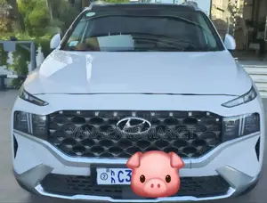 Hyundai Santa Fe 2023 White