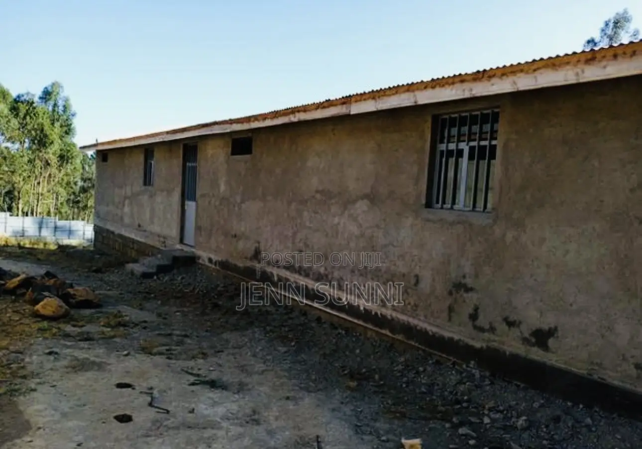 Megazen or Warehouse for Rent