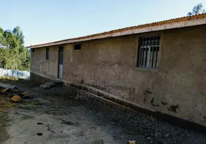 Megazen or Warehouse for Rent