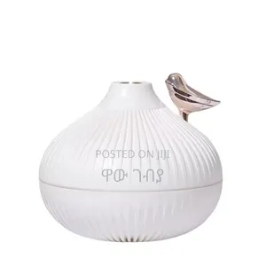 Onion Shape Humidifier