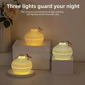 Onion Shape Humidifier