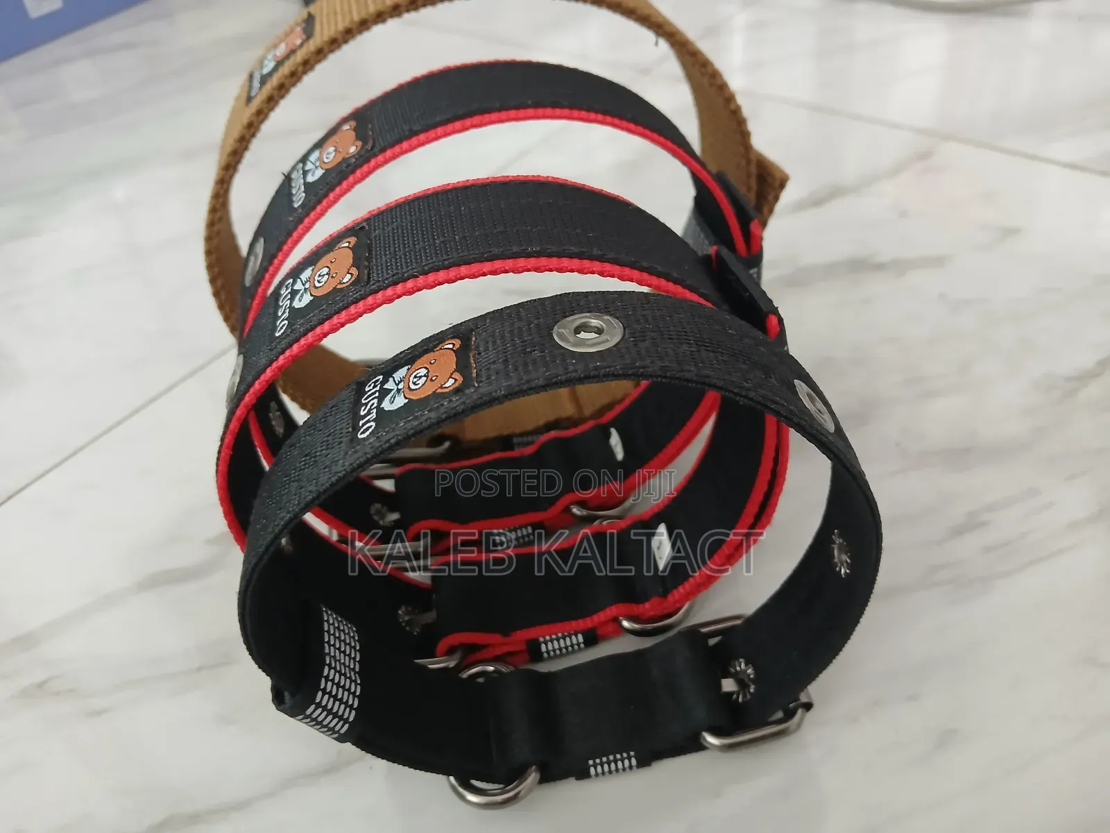 Heavy Duty Dog Leash for Strong Dogs