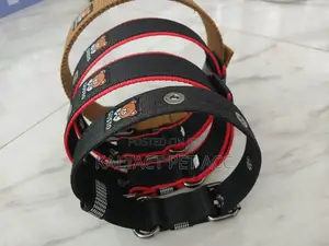 Heavy Duty Dog Leash for Strong Dogs