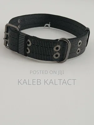 Heavy Duty Dog Leash for Strong Dogs