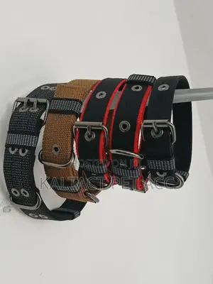 Heavy Duty Dog Leash for Strong Dogs