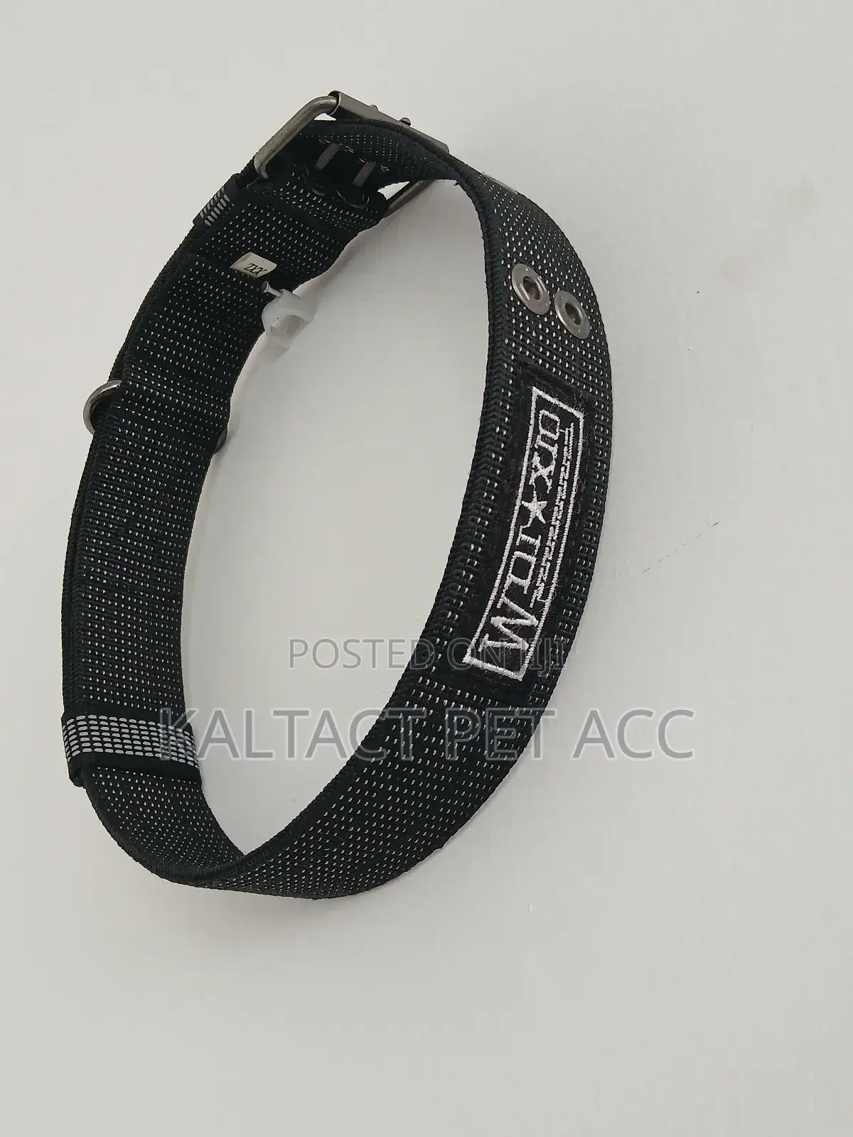 Collars (ያንገት) for Larger Dogs