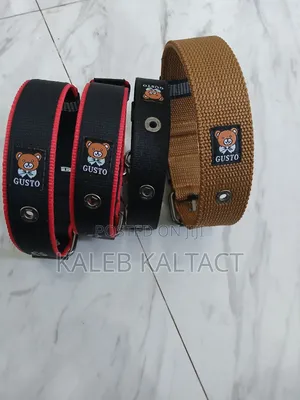 Collars (ያንገት) for Larger Dogs
