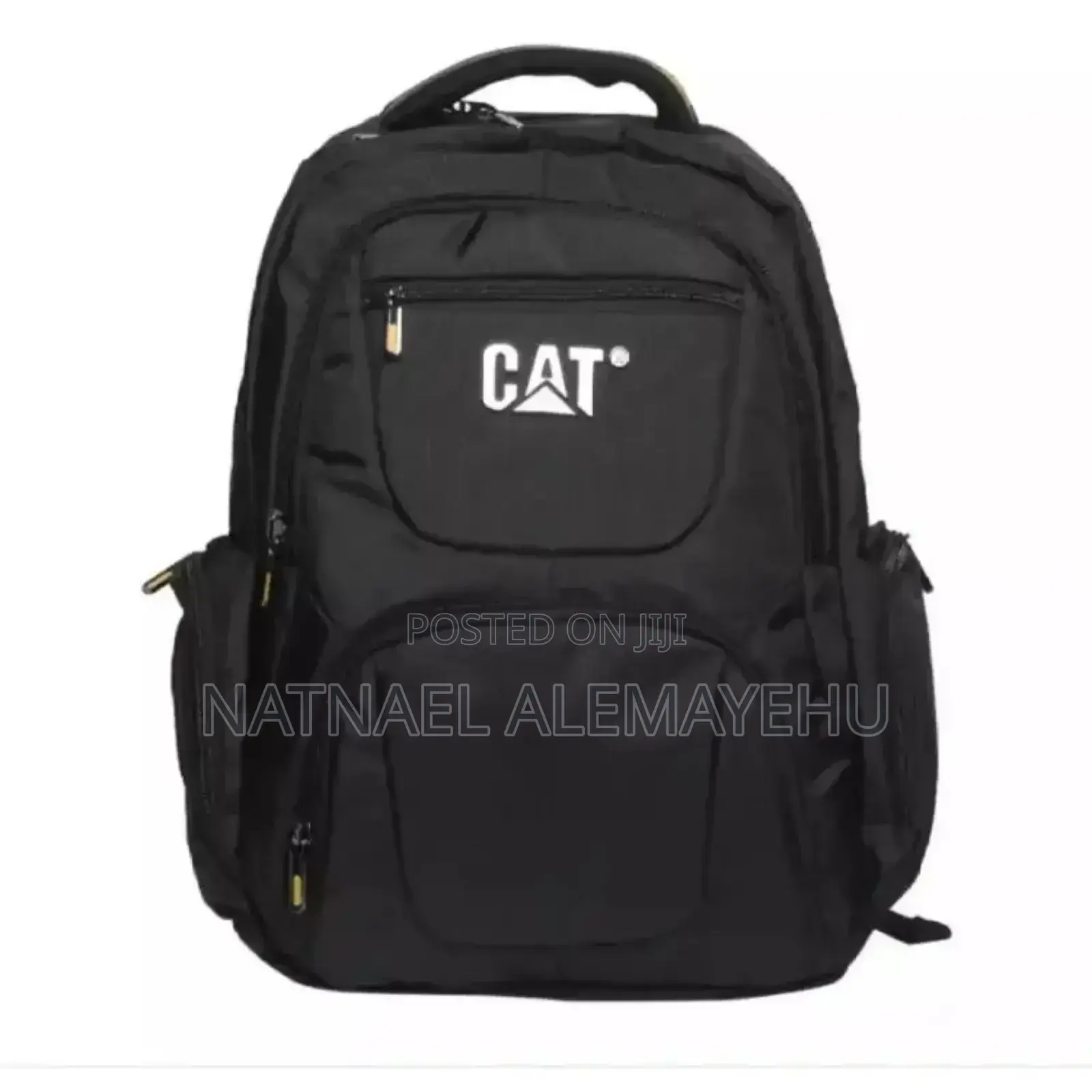 Cat Backpack
