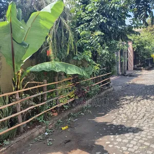 የሚሸጥ ኤል ሸፕ ጎሮ አደባባይ 210 ካሬ ገራሚ ቦታ 24 ሚሊዮን ብር ኮሪደር ያለቀለት