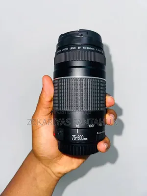 Photo - Canon 75-300mm Lens